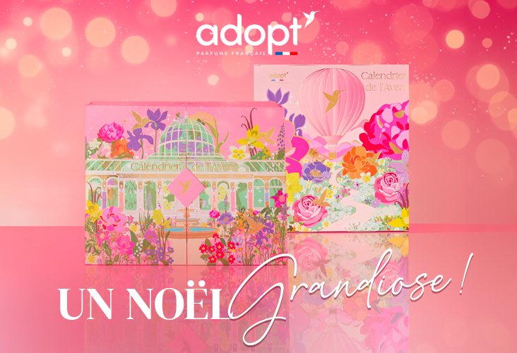 adopt-actu-732x500-calendriers-2-67233bd0b33f0.jpg